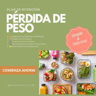 PLAN DE NUTRICIÓN PERDER PESO